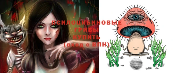 2c-b Яровое